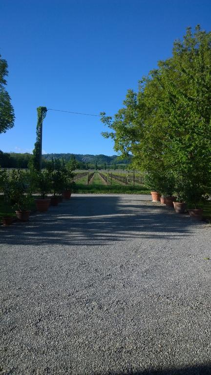 La Vigna Dei Peri Villa Quattro Castella Exterior photo